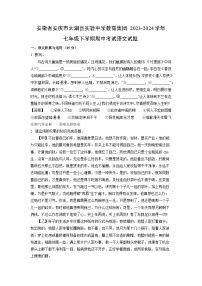 语文：安徽省安庆市太湖县实验中学教育集团2023-2024学年七年级下学期期中考试试题（解析版）