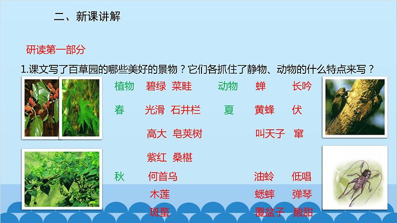 统编版语文七年级上册 9《从百草园到三味书屋》课件第7页