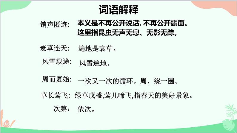 统编版(五四制)语文八年级下册 5.大自然的语言课件第6页