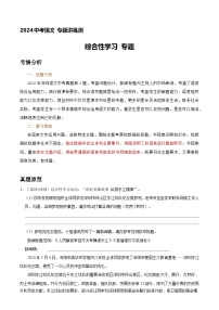 中考语文 综合性学习 专题讲练（原卷+答案与解释）2024年中考语文真题探究与变式训练（全国通用）