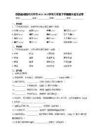 陕西省咸阳市兴平市2022-2023学年八年级下学期期末语文试卷(含答案)