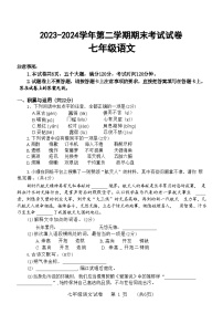 河南省濮阳市2023-2024学年七年级下学期7月期末语文试题