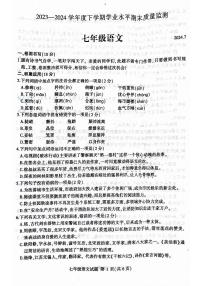 山东省临沂市平邑县2023-2024学年七年级下学期期末语文试题