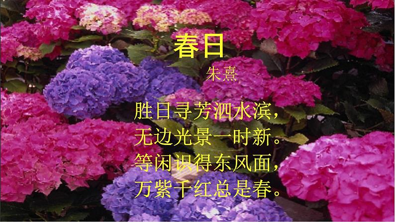 第1课《春》教学课件 2024—2025学年统编版语文七年级上册05