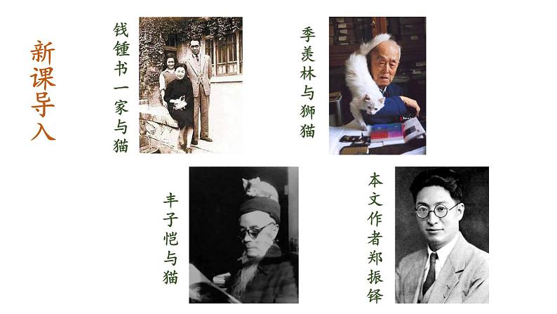 统编七语上 17 猫(精品课件)第4页