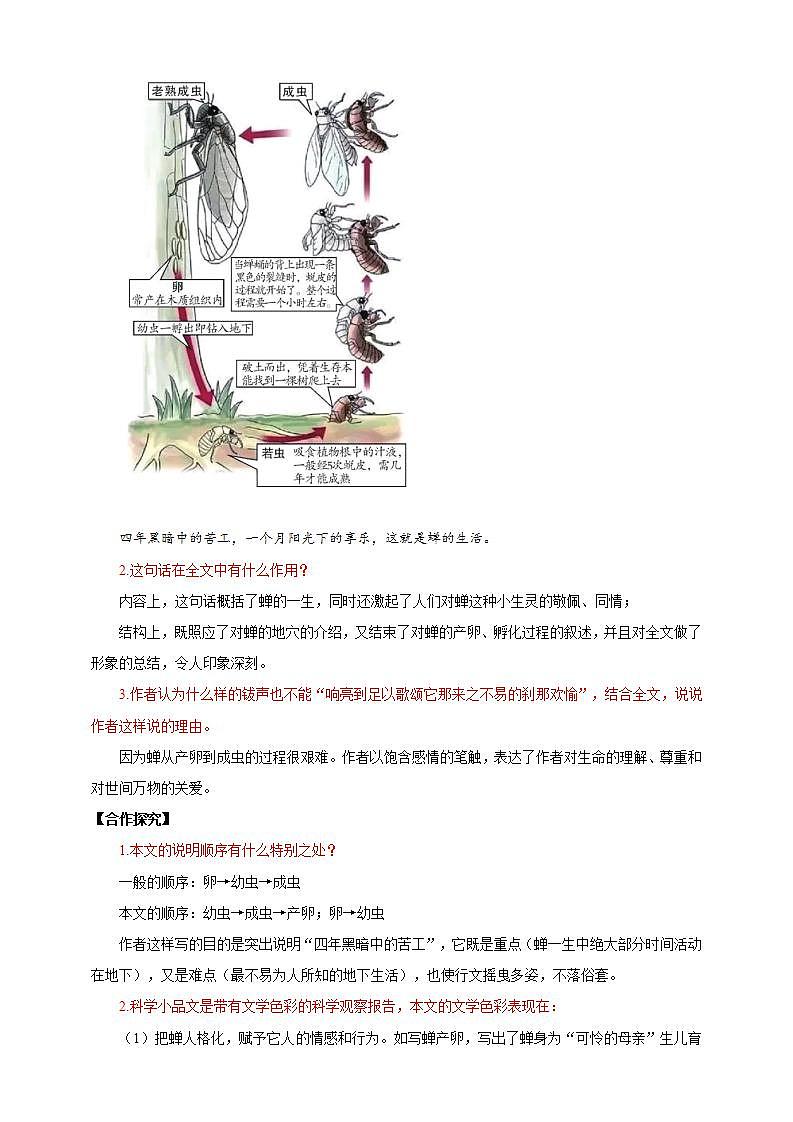 人教部编版语文八上21《 蝉》 第2课时 课件+教案+分层作业+素材02