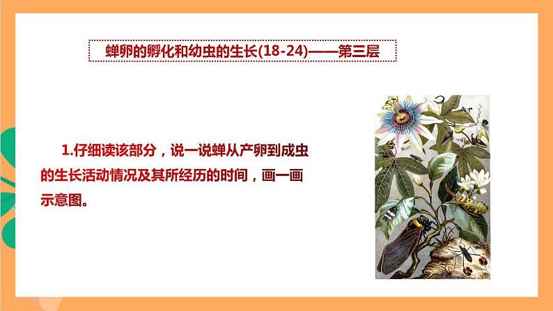 人教部编版语文八上21《 蝉》 第2课时 课件+教案+分层作业+素材04