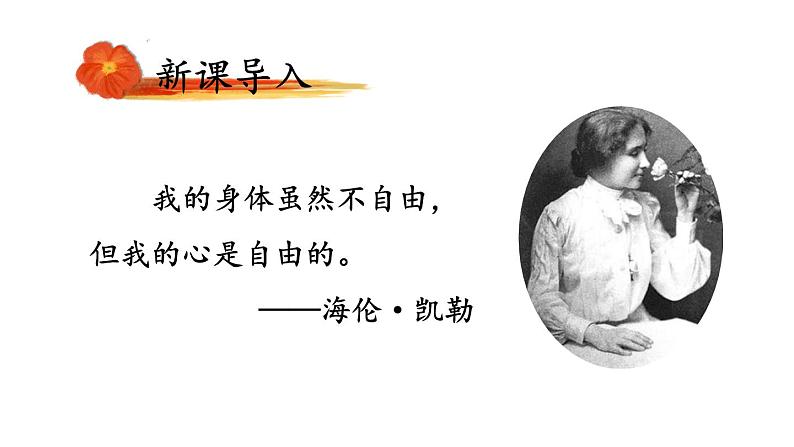 2024-2025统编版七年级语文上册精品课件11 再塑生命的人第2页