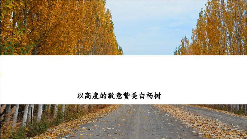 第15课《白杨礼赞》课件-2024-2025学年统编版语文八年级上册第4页
