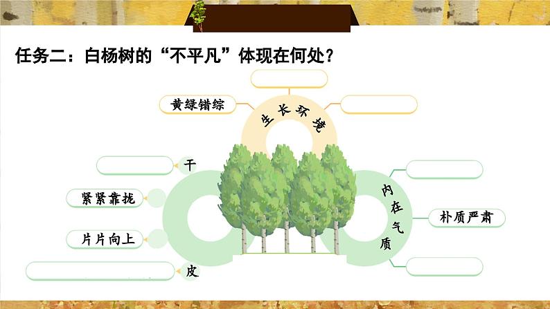 第15课《白杨礼赞》课件-2024-2025学年统编版语文八年级上册第8页