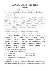 2024年福建省龙岩市中考二模语文试题