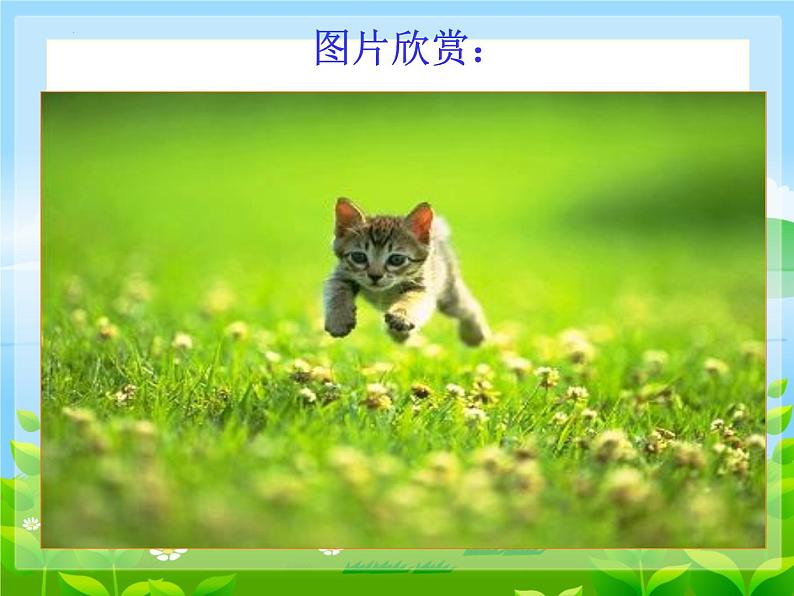 第16课《猫》课件+2024—2025学年统编版语文七年级上册第2页