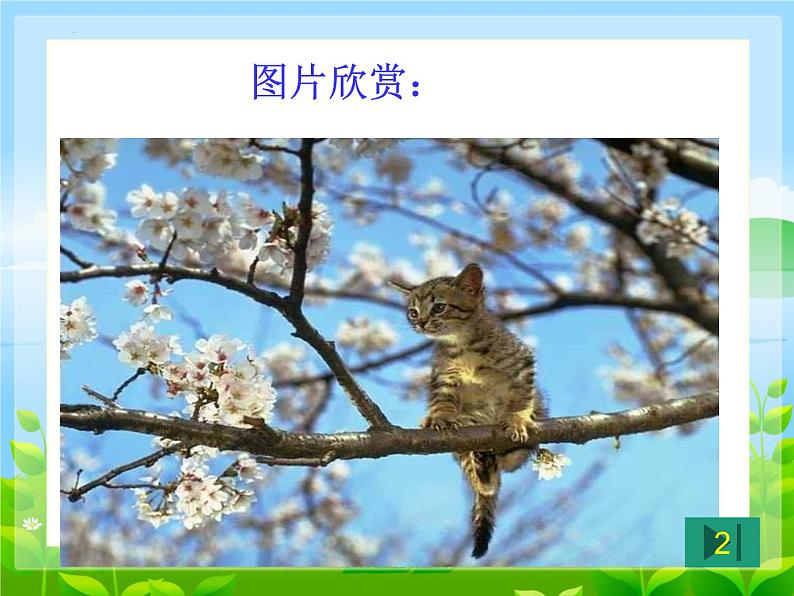 第16课《猫》课件+2024—2025学年统编版语文七年级上册第4页