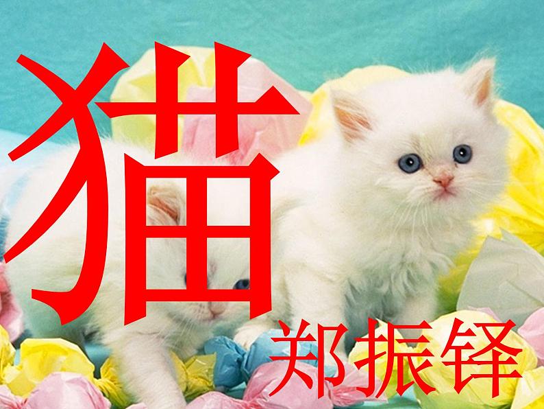 第16课《猫》课件+2024—2025学年统编版语文七年级上册第7页