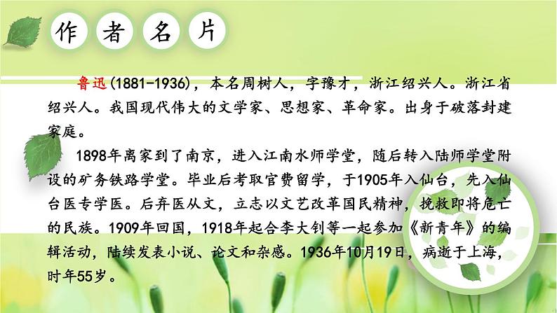 人教部编版(2024)语文七年级上册 第3单元 9 从百草园到三味书屋【第一课时】 PPT课件05