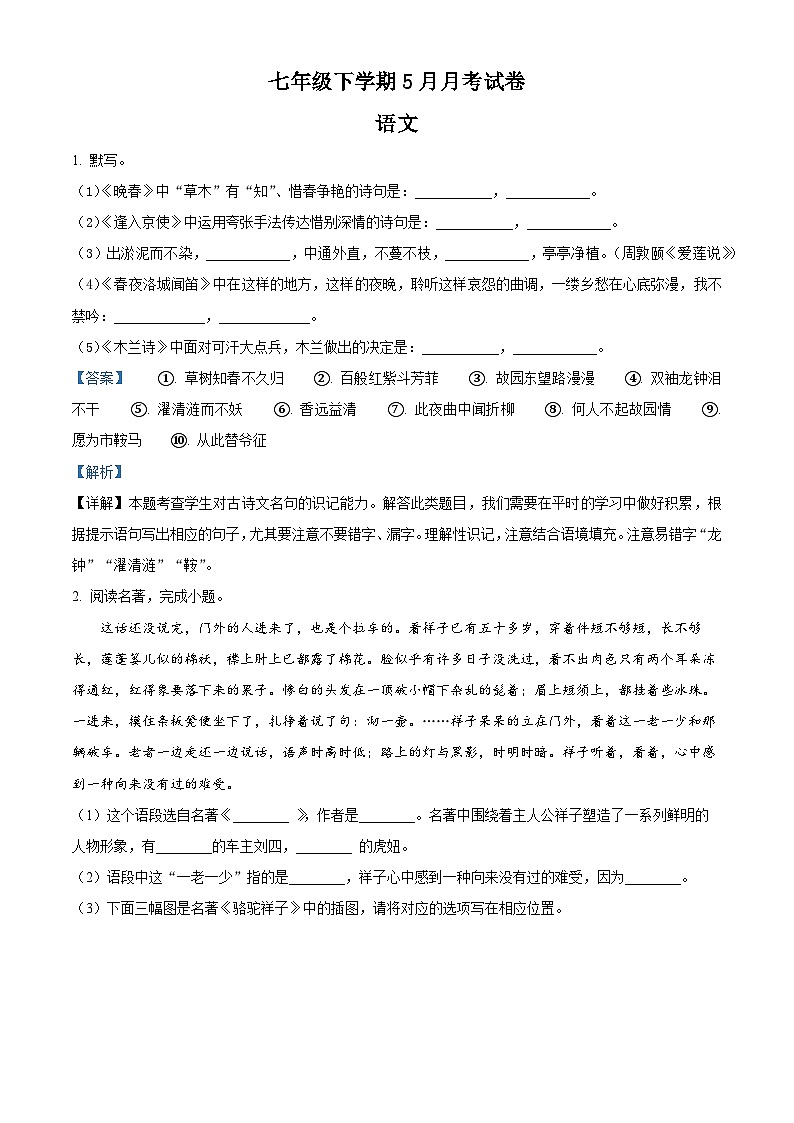 七年级下册语文5月月考模拟试题-七年级下册语文(统编版)01