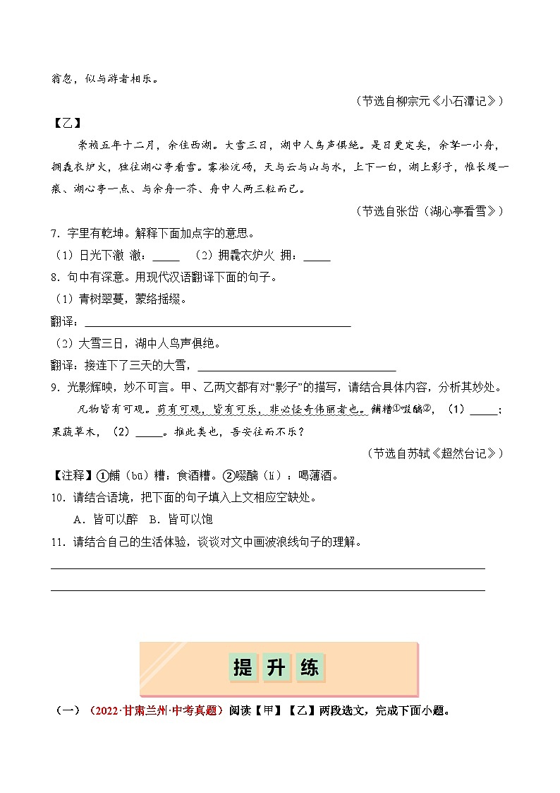 【核心素养】部编版语文九年级上册 第13课《湖心亭看雪》(分层练习)(原卷版)第3页