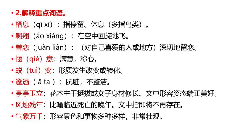 2024修订版部编语文七上第5单元复习讲义+课件06