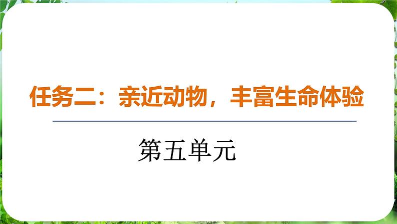 任务二 亲近动物,丰富生命体验(课件)-2024-2025学年七年级语文上册同步备课课件(统编版2024)01