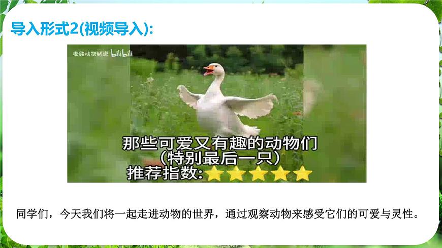 任務二 親近動物，豐富生命體驗第4頁