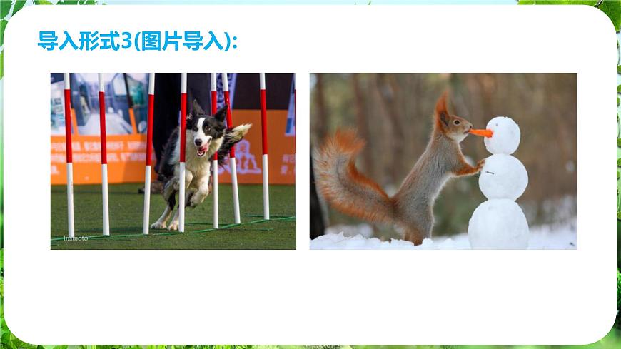 任務二 親近動物，豐富生命體驗第5頁