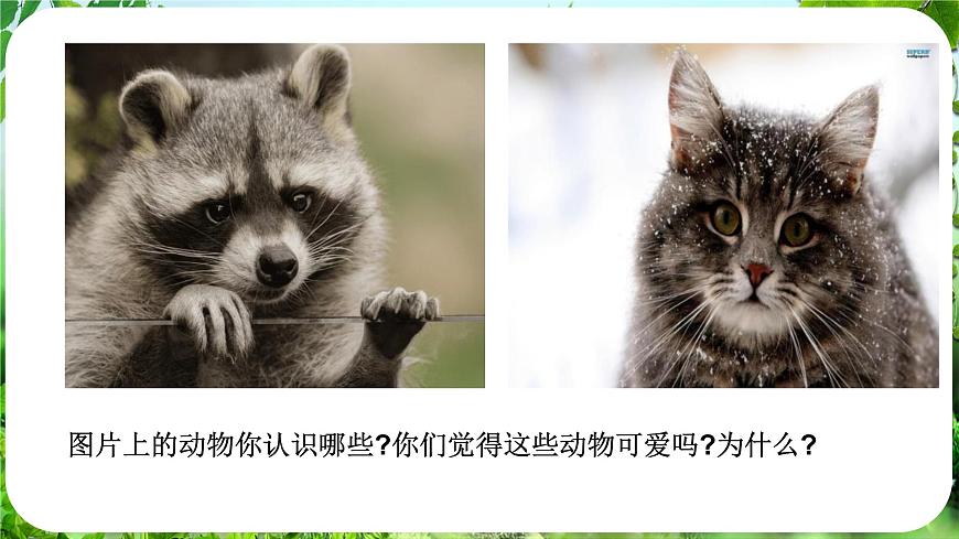 任務二 親近動物，豐富生命體驗第6頁