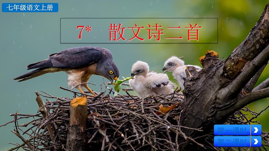 語文 統(tǒng)編版 七年級上冊 第2單元 7 散文詩二首 PPT課件第2頁