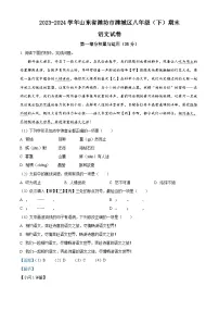 山东省潍坊市潍城区2023-2024学年八年级下学期期末语文试题（解析版）