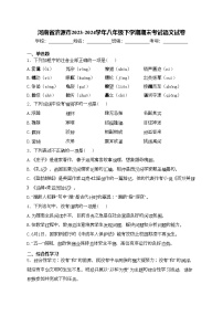 河南省济源市2023-2024学年八年级下学期期末考试语文试卷(含答案)