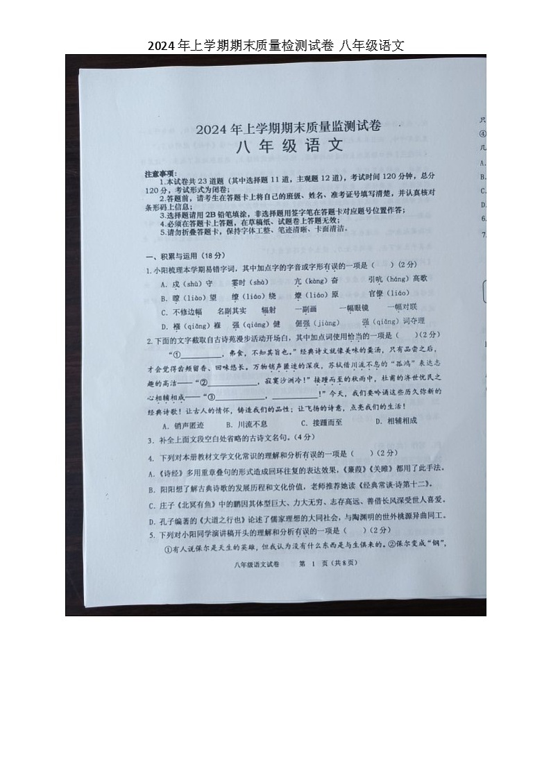 湖南省长沙市浏阳市2023-2024学年八年级下学期期末语文试题01