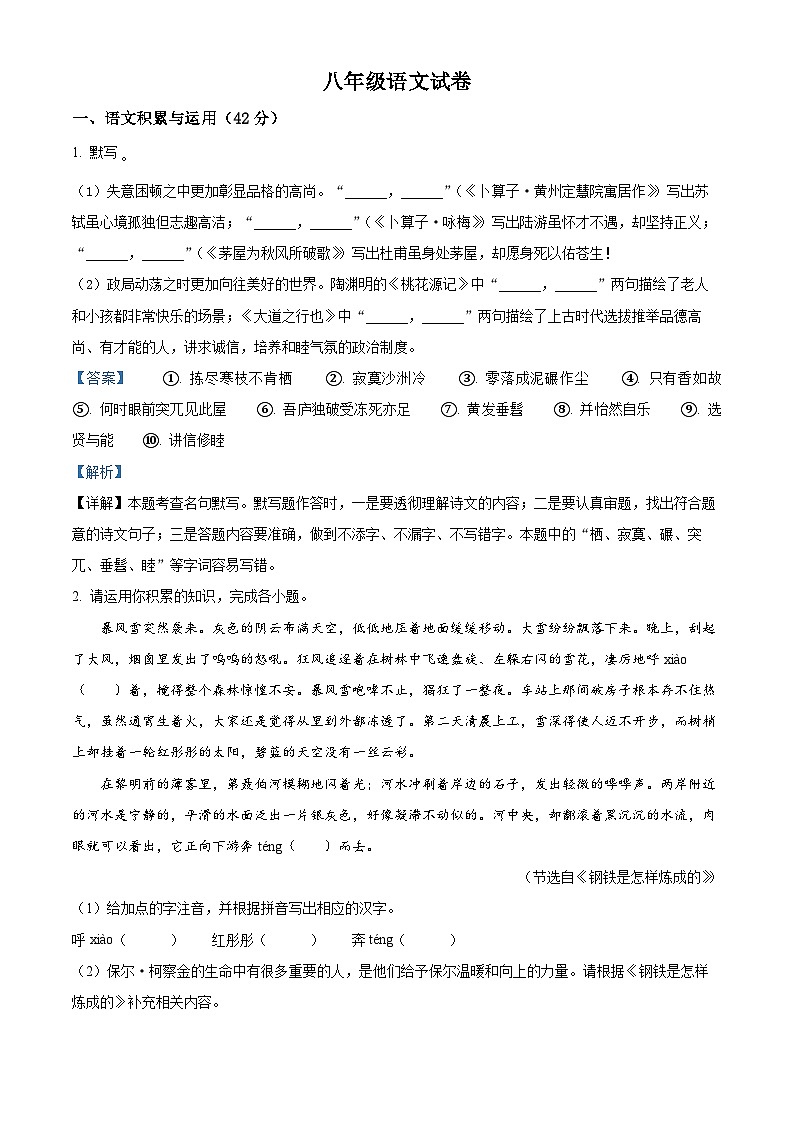安徽省阜阳市阜南县2023-2024学年八年级下学期期末语文试题(解析版)第1页