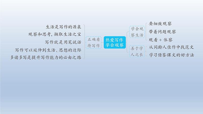 2024七年级语文上册第一单元写作热爱写作学会观察习题课件(部编版)04