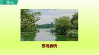 初中语文人教部编版（2024）八年级上册钱塘湖春行教课课件ppt