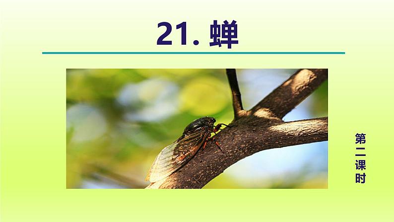 21. 蝉 第2课时课件第1页