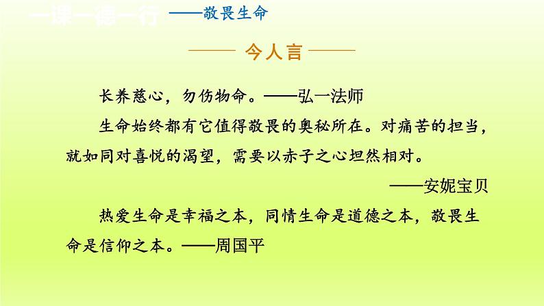 21. 蝉 第2课时课件第8页