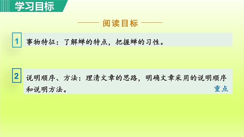 21. 蝉 第1课时课件第3页