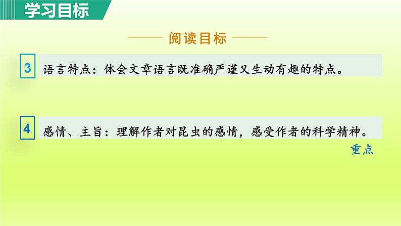 21. 蝉 第1课时课件第4页