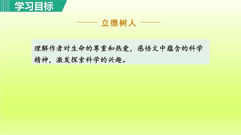 21. 蝉 第1课时课件第6页
