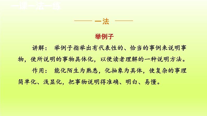 2024八年级语文上册第五单元19苏州园林教学课件(部编版)08