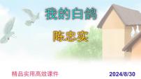 语文七年级上册(2024)第五单元任务一 体会人物与动物的关系18 我的白鸽/陈忠实课文课件ppt
