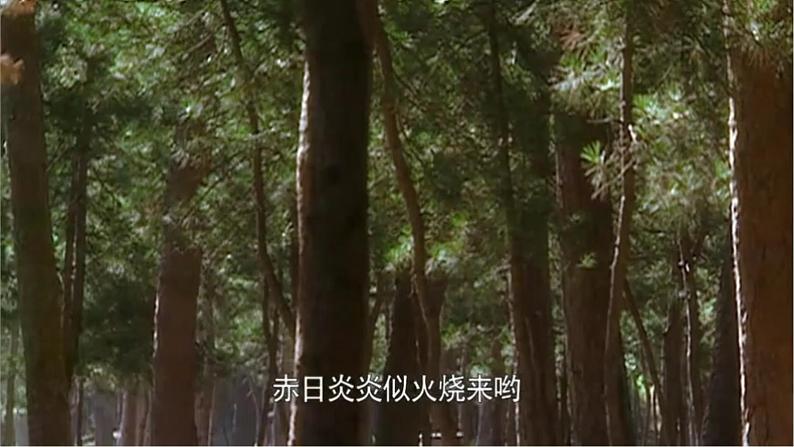 部编版语文九年级上册PPT课件第六单元智取生辰纲107