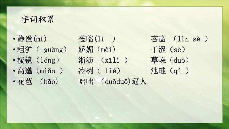 第3课《雨的四季》-课件 2024-2025学年七年级 语文上册(部编版2024)07