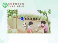 人教部編版（五四版）語文六上 17 夏天里的成長課件
