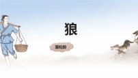 初中语文人教部编版（2024）七年级上册（2024）20 狼/蒲松龄教课ppt课件