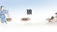 初中语文人教部编版（2024）七年级上册（2024）20 狼/蒲松龄教课ppt课件