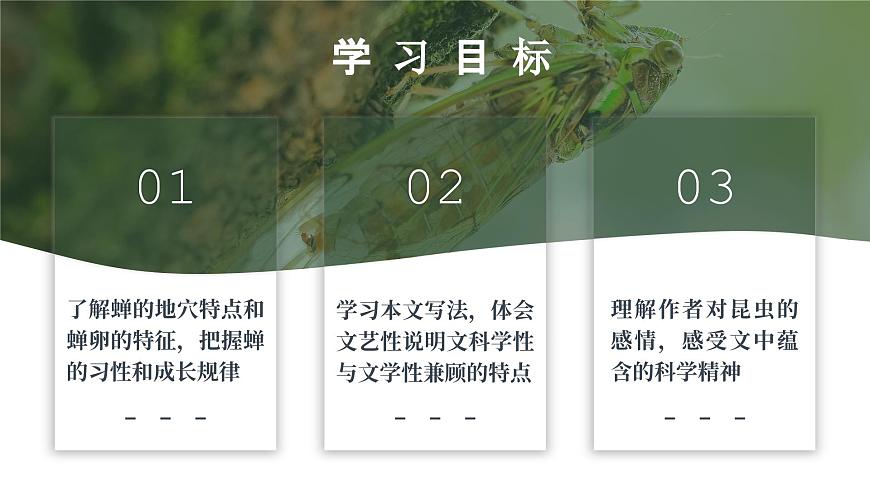 部編版八年級(jí)語文上冊第21課《蟬》優(yōu)質(zhì)課件第2頁