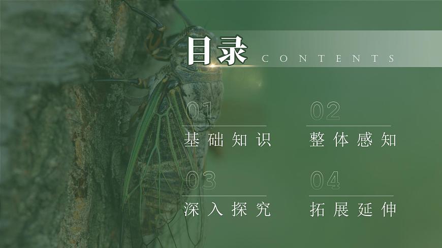 部編版八年級(jí)語文上冊第21課《蟬》優(yōu)質(zhì)課件第3頁