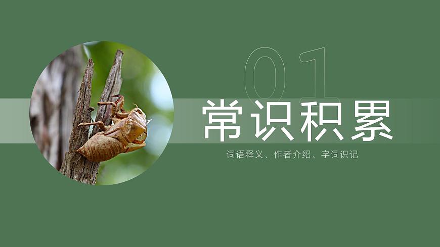 部編版八年級(jí)語文上冊第21課《蟬》優(yōu)質(zhì)課件第4頁