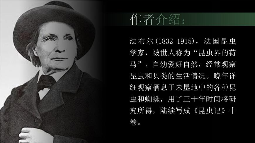 部編版八年級(jí)語文上冊第21課《蟬》優(yōu)質(zhì)課件第5頁