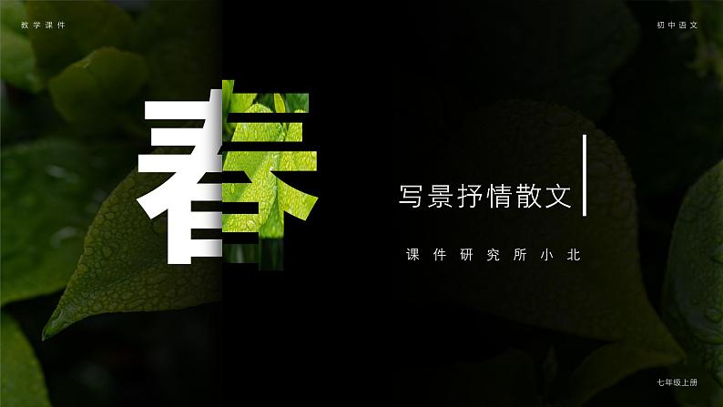 部编版七年级语文上册第1课《春》优质课件01